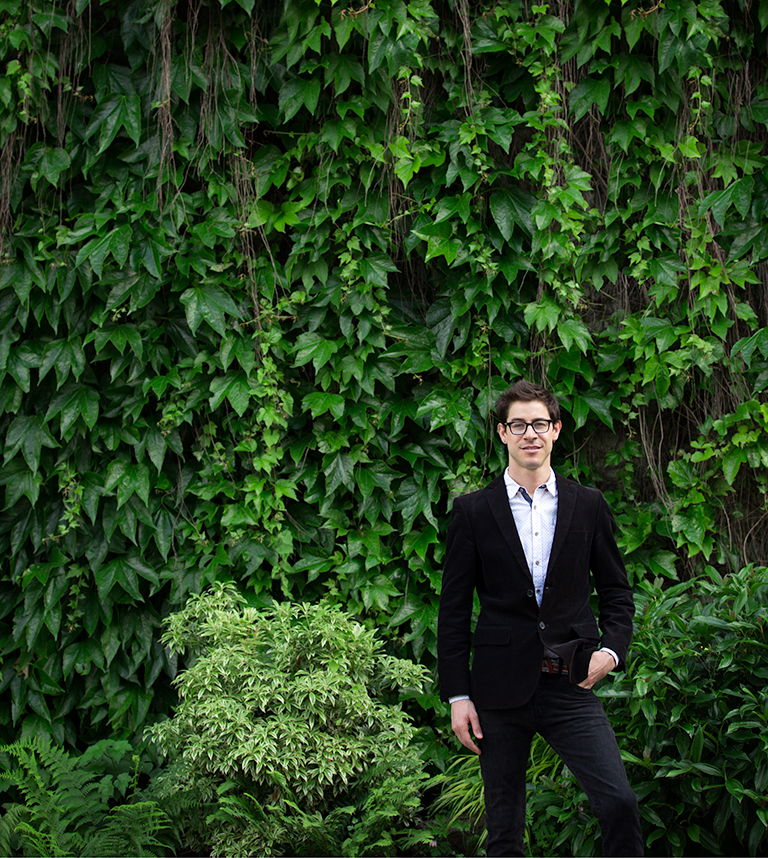 yuval-leaves
